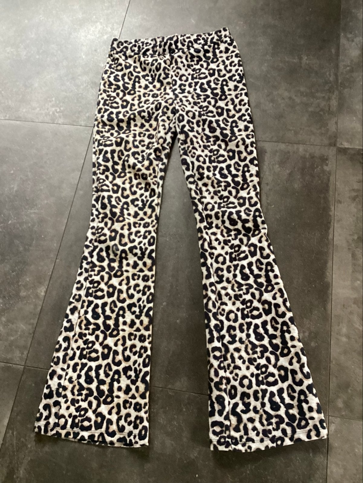Leopard flared broek coolcat xs, Meerkleurig, Ophalen of Verzenden, Zo goed als nieuw, Maat 34 (XS) of kleiner