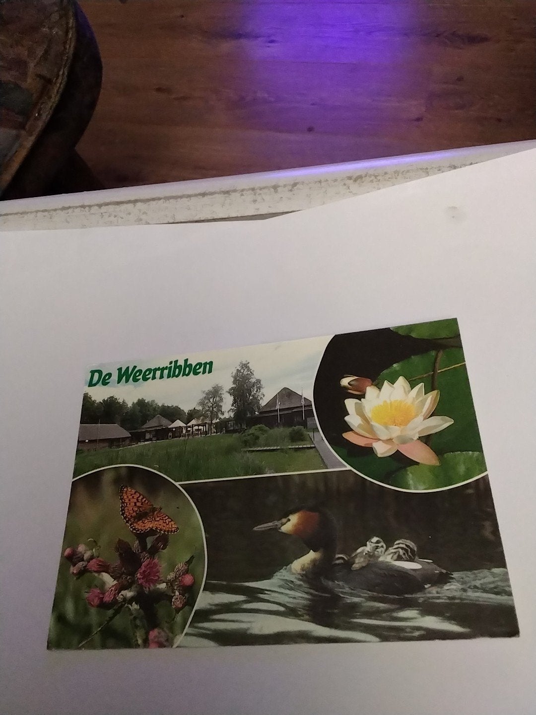Ansichtkaart De Weerribben - 2008, Ophalen of Verzenden, 1980 tot heden, Gelopen, Overijssel
