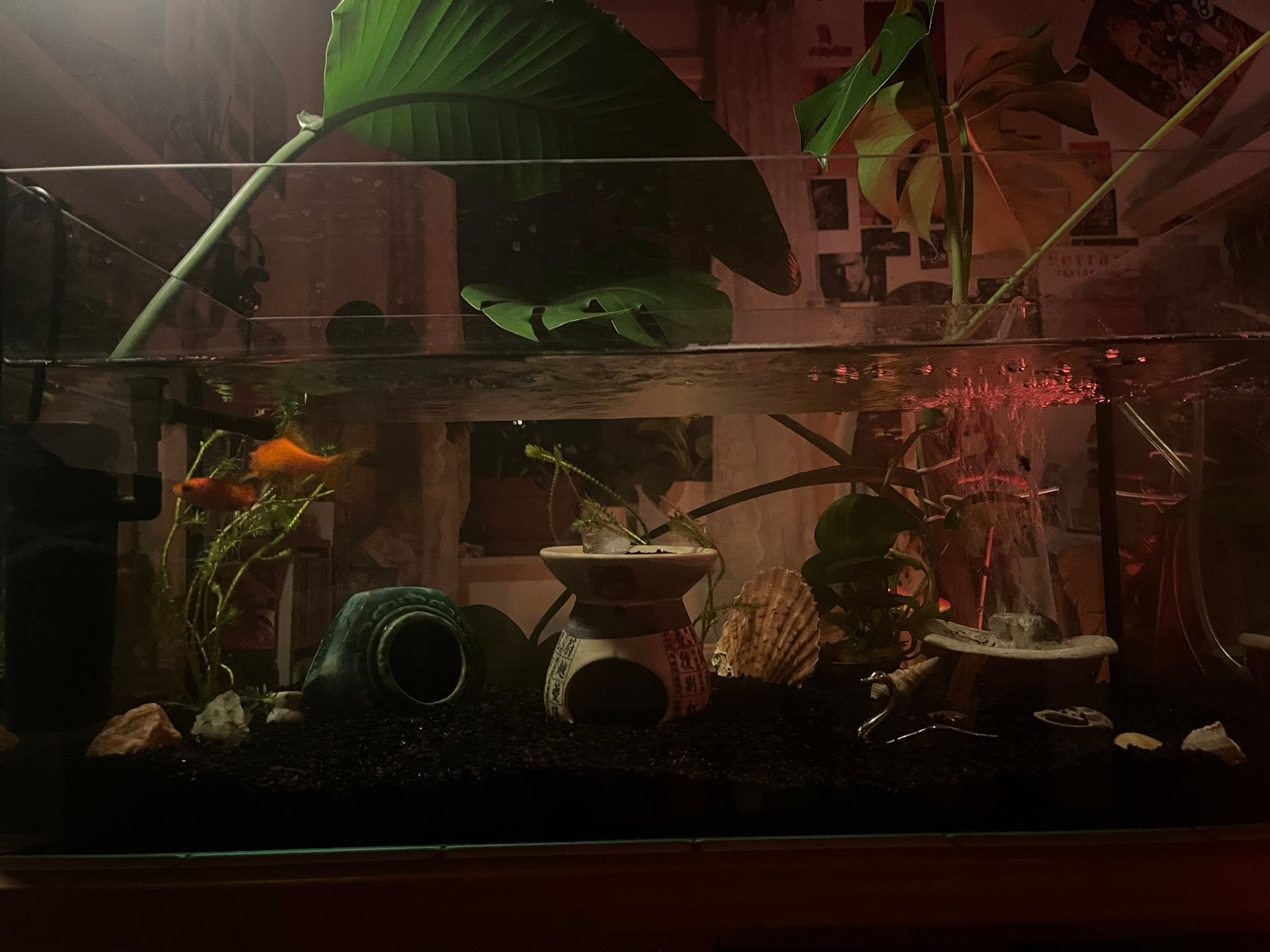 Aquarium +water en lucht pomp en extra’s, Ophalen, Gebruikt, Gevuld zoetwateraquarium