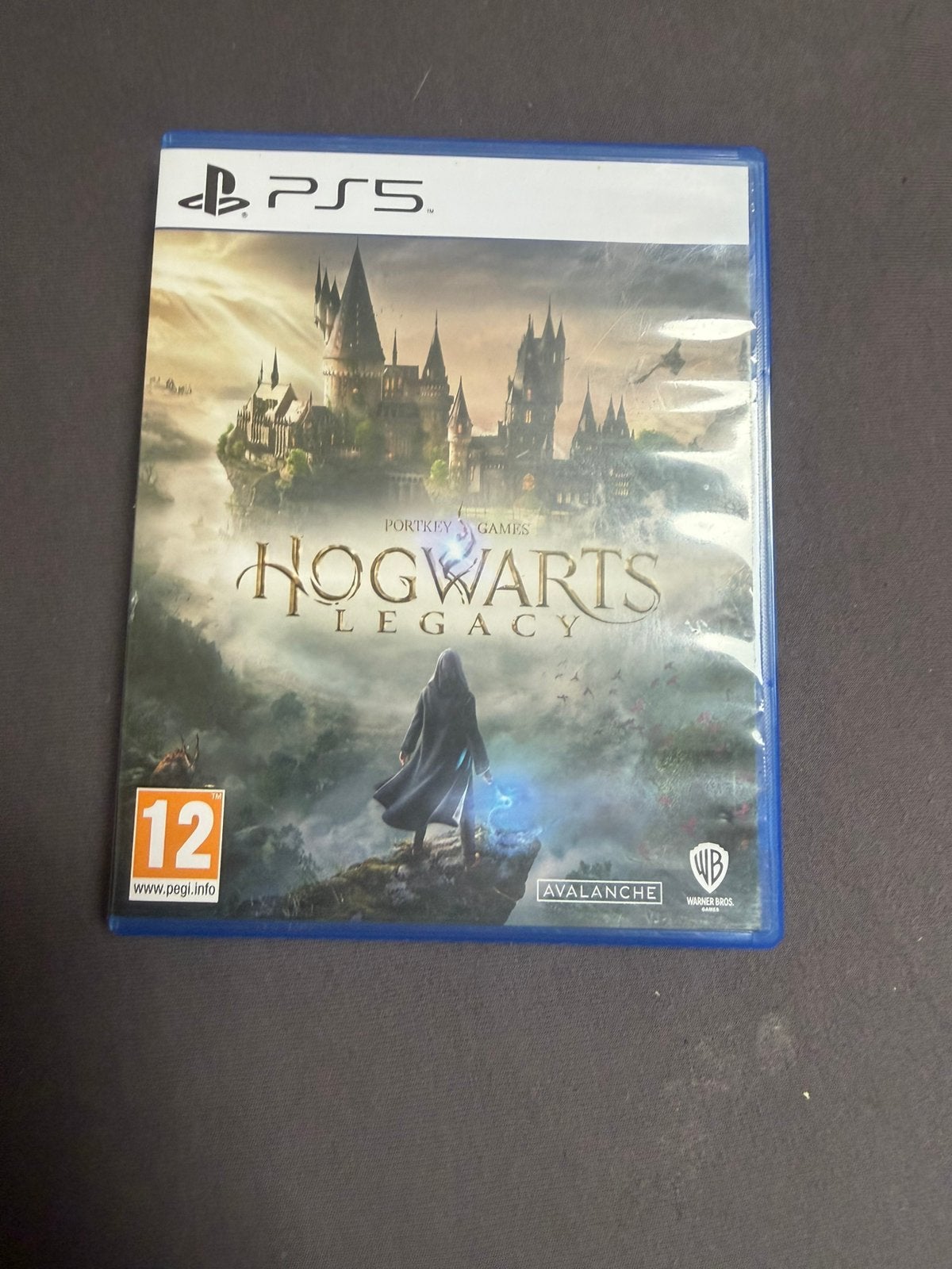 Hogwarts legacy, Avontuur en Actie, Ophalen of Verzenden, Zo goed als nieuw, Eén computer