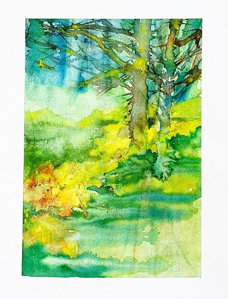 Aquarel KOOLZAAD, Ophalen of Verzenden