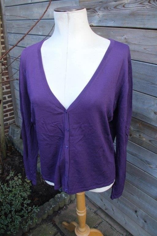 Vest aubergine SAM Knitwear mt XXL Vaste prijs OPRUIMING, Kleding | Dames, Truien en Vesten, Ophalen of Verzenden, Zo goed als nieuw