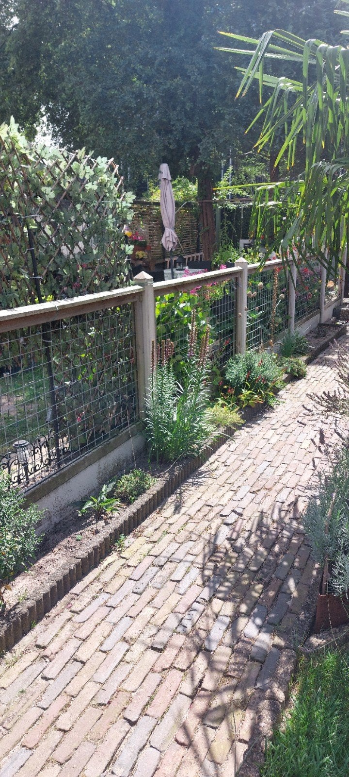 5 Tuinschermen  met rasterwerk en 6 bijpassende betonpalen., Ophalen, Gebruikt, Hout