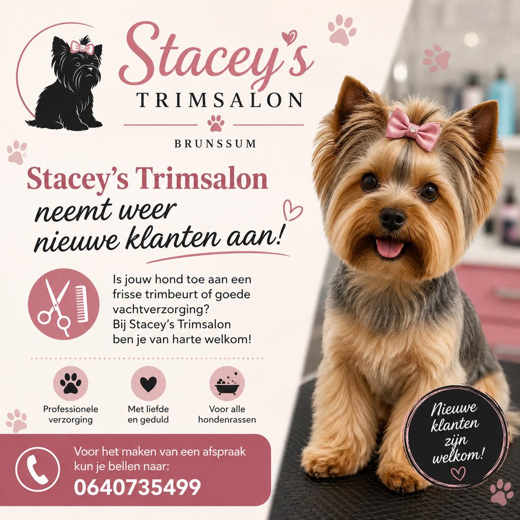 Honden trimsalon in brunssum, Ophalen of Verzenden, Zo goed als nieuw