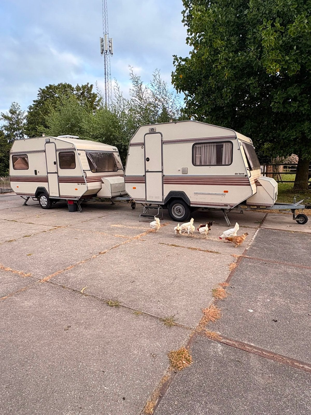 Caravan Kip 330 de Luxe | Unieke klassieker | avontuur, Kip, Omvormbare zithoek, Treinzit, 750 - 1000 kg
