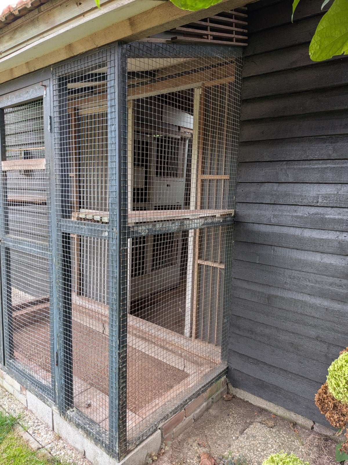buitenren / voliere 110x240x225cm (dxbxh), Dieren en Toebehoren, Ophalen, Gebruikt, Hout, Volière