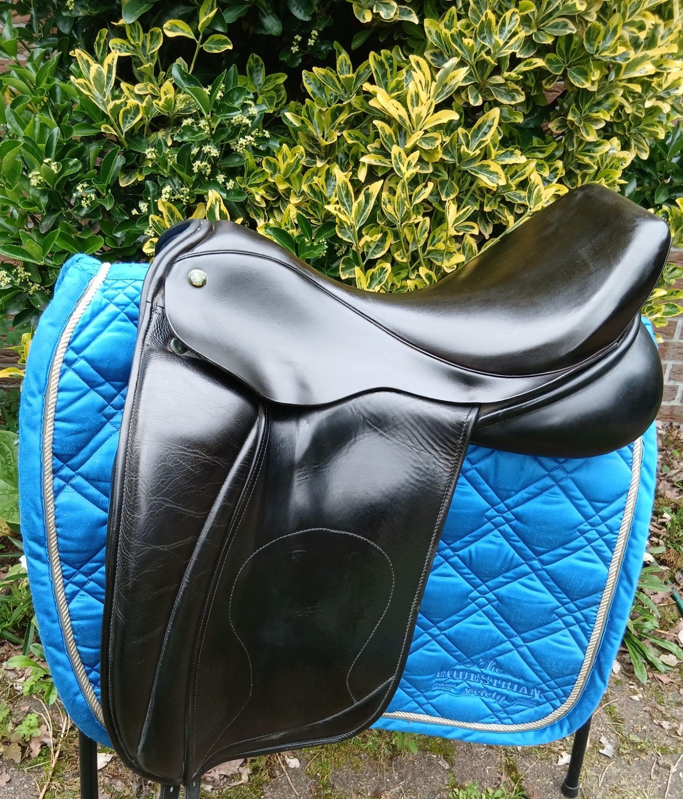 hulsebos CC SQ dressage  €350-, Dieren en Toebehoren, Ophalen, Dressuur