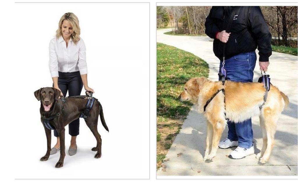 Petsafe CareLift Support Harness (voor- en achter) Large, Dieren en Toebehoren, Honden-accessoires, Ophalen of Verzenden, Nieuw