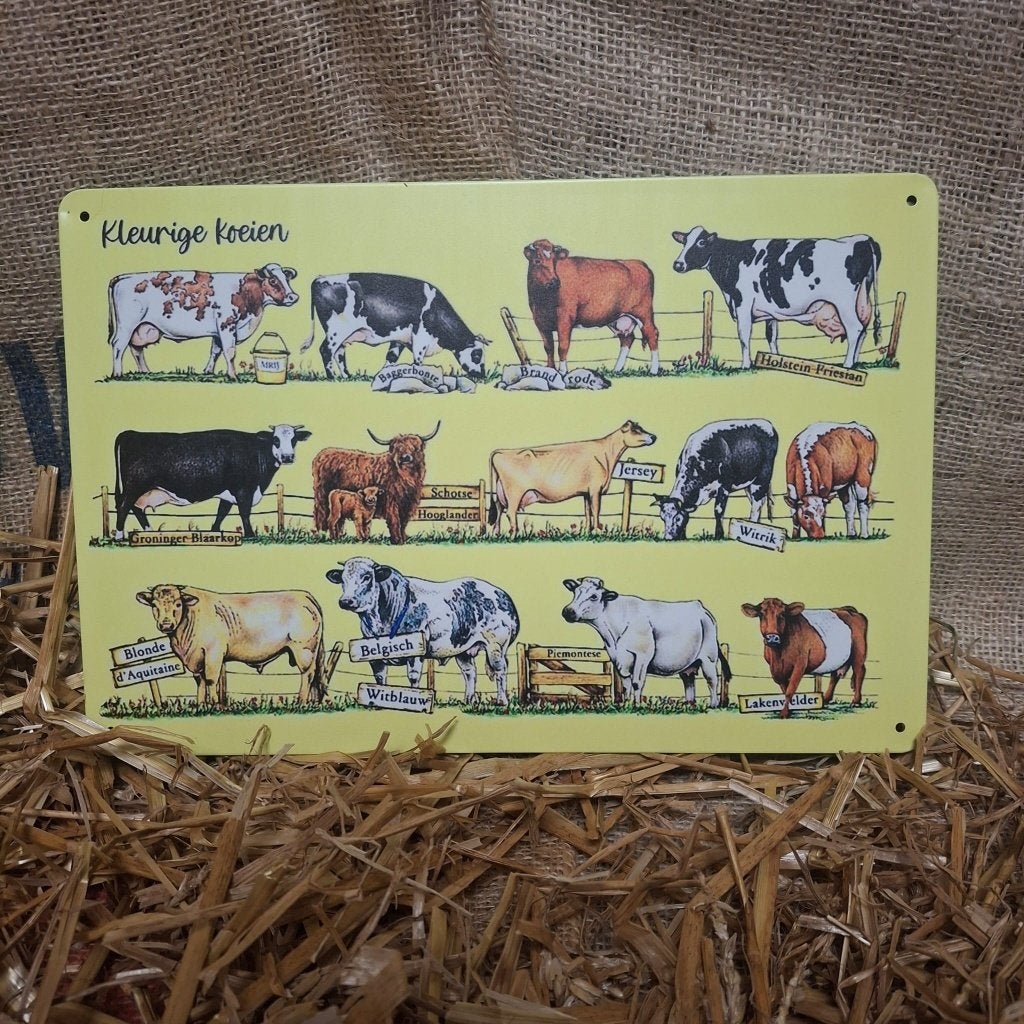 Kleurige koeien - Metalen wandborden, Huis en Inrichting, Metaal, 30 cm, Met ophangsysteem, Nieuw