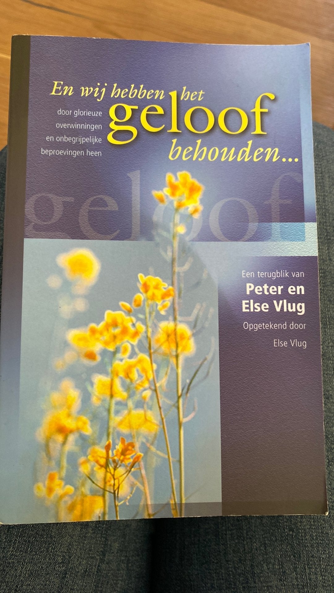Een terug blik van Peter en Else Vlug, Ophalen of Verzenden, Zo goed als nieuw, Overige religies