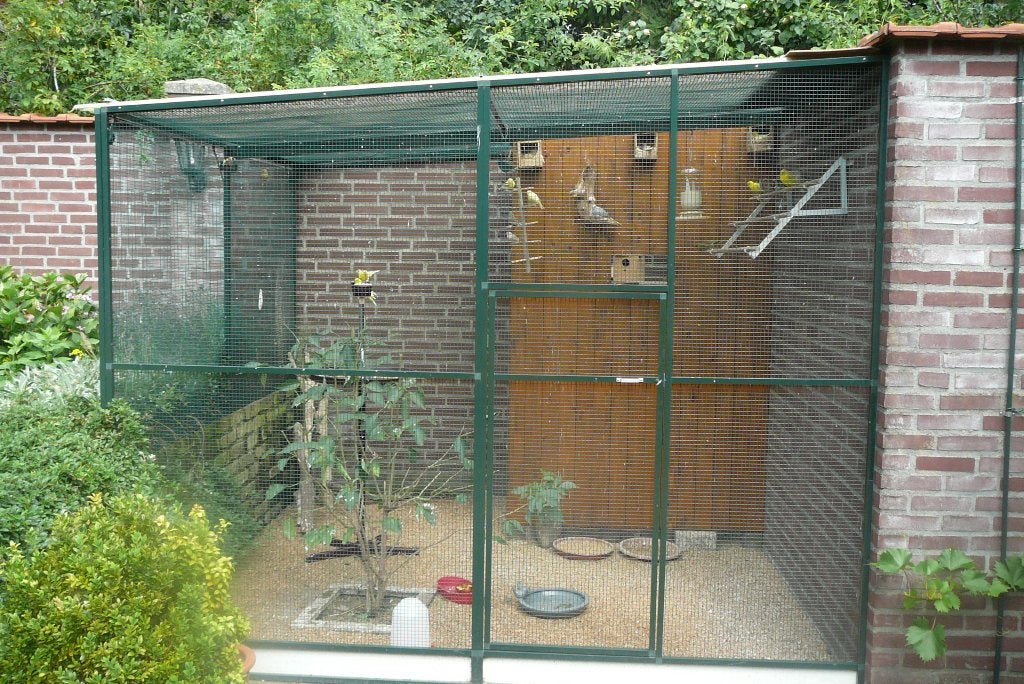 Gezocht voor buitenvoliere, Vrouwelijk