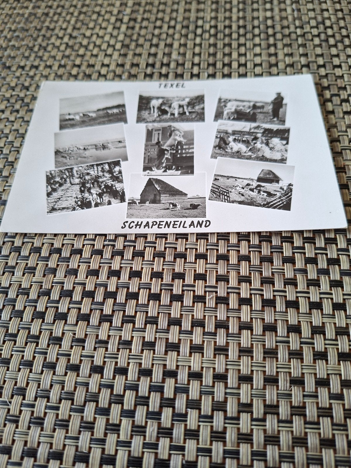 Texel Schapeneiland, Ophalen of Verzenden, 1940 tot 1960, Ongelopen, Waddeneilanden