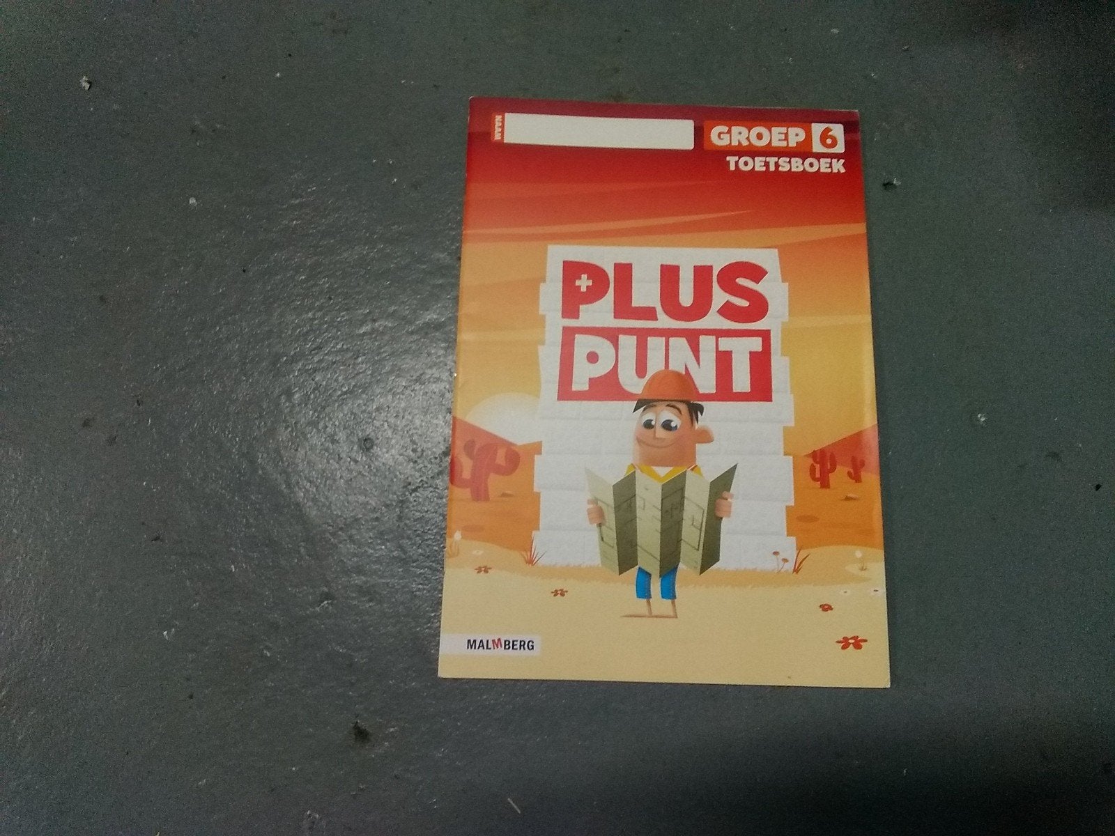 Pluspunt Groep 6 Toetsboek Malmberg, Boeken, Verzenden, Zo goed als nieuw, Overige niveaus, Overige vakken
