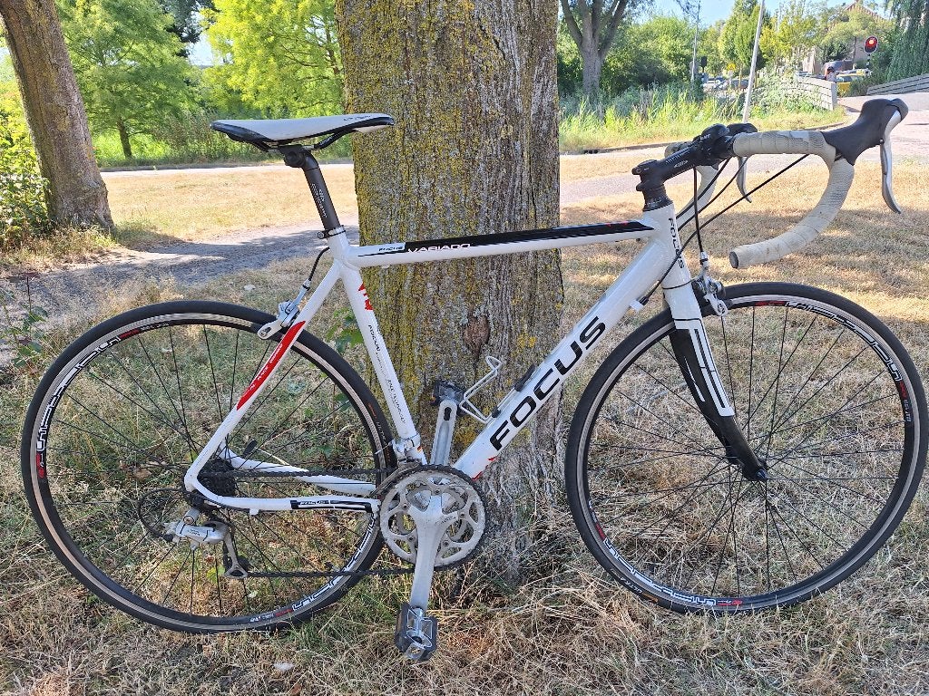 Focus racefiets, 28 inch, Gebruikt, Velgrem, Aluminium