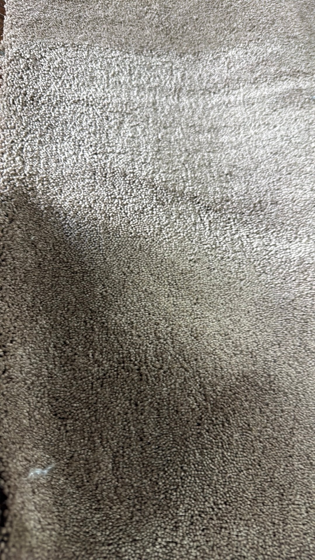 ‼️coupon Bounty taupe tapijt 2,65x4m restpartij outlet nieuw, Huis en Inrichting, Stoffering | Vloerbedekking, Ophalen, Nieuw