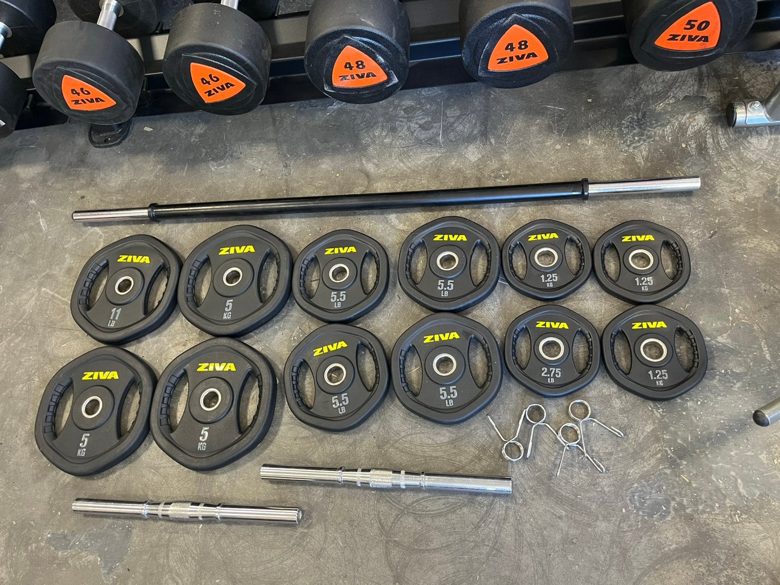 Ziva halter schijven met stang en dumbbell stangen, Ophalen, Stang, Dumbells, Zo goed als nieuw