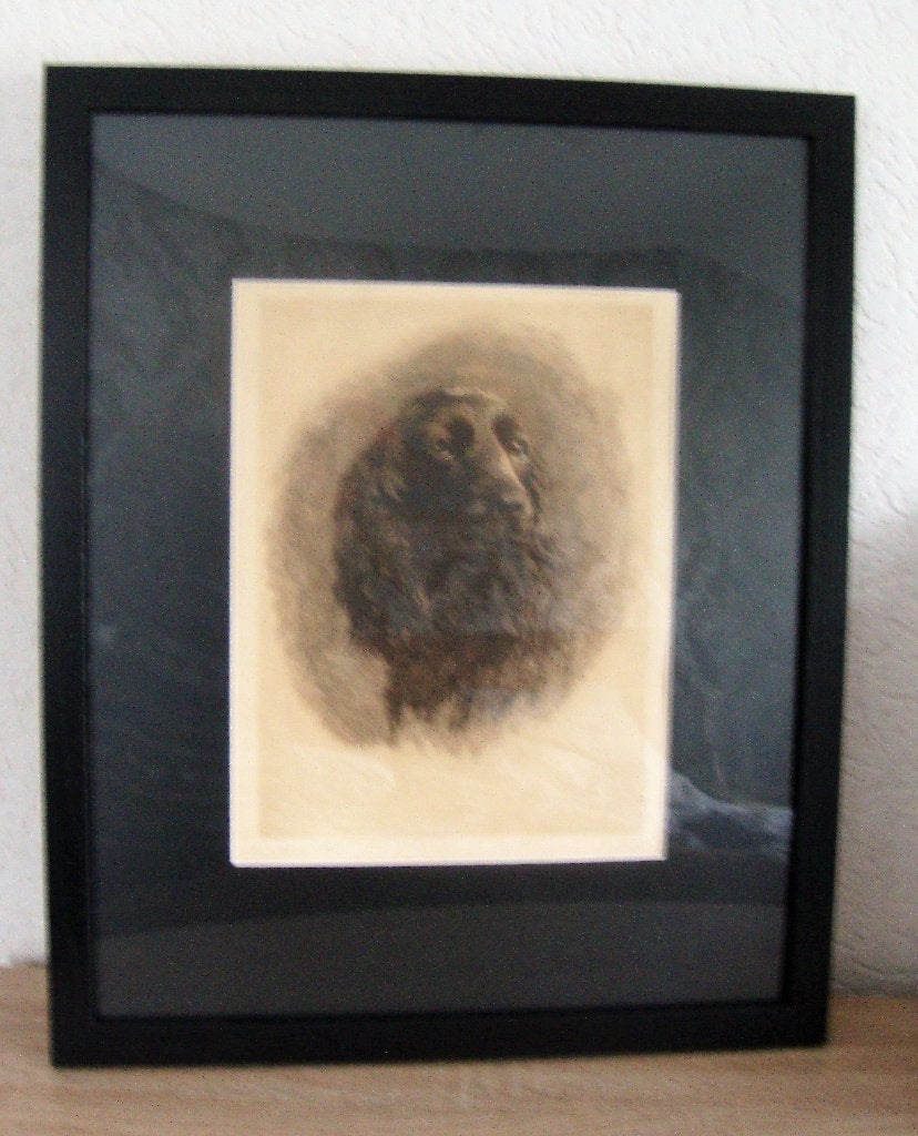 Claire Libiez 'Chien ''  - nieuw ingelijst met passe partout, Ophalen of Verzenden, Lithografie, Dieren en Natuur, Ingelijst