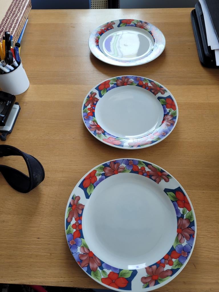 Drie grote platte borden met bloemenrand - 27,5 cm diameter, Ophalen, Overige stijlen, Bord(en)