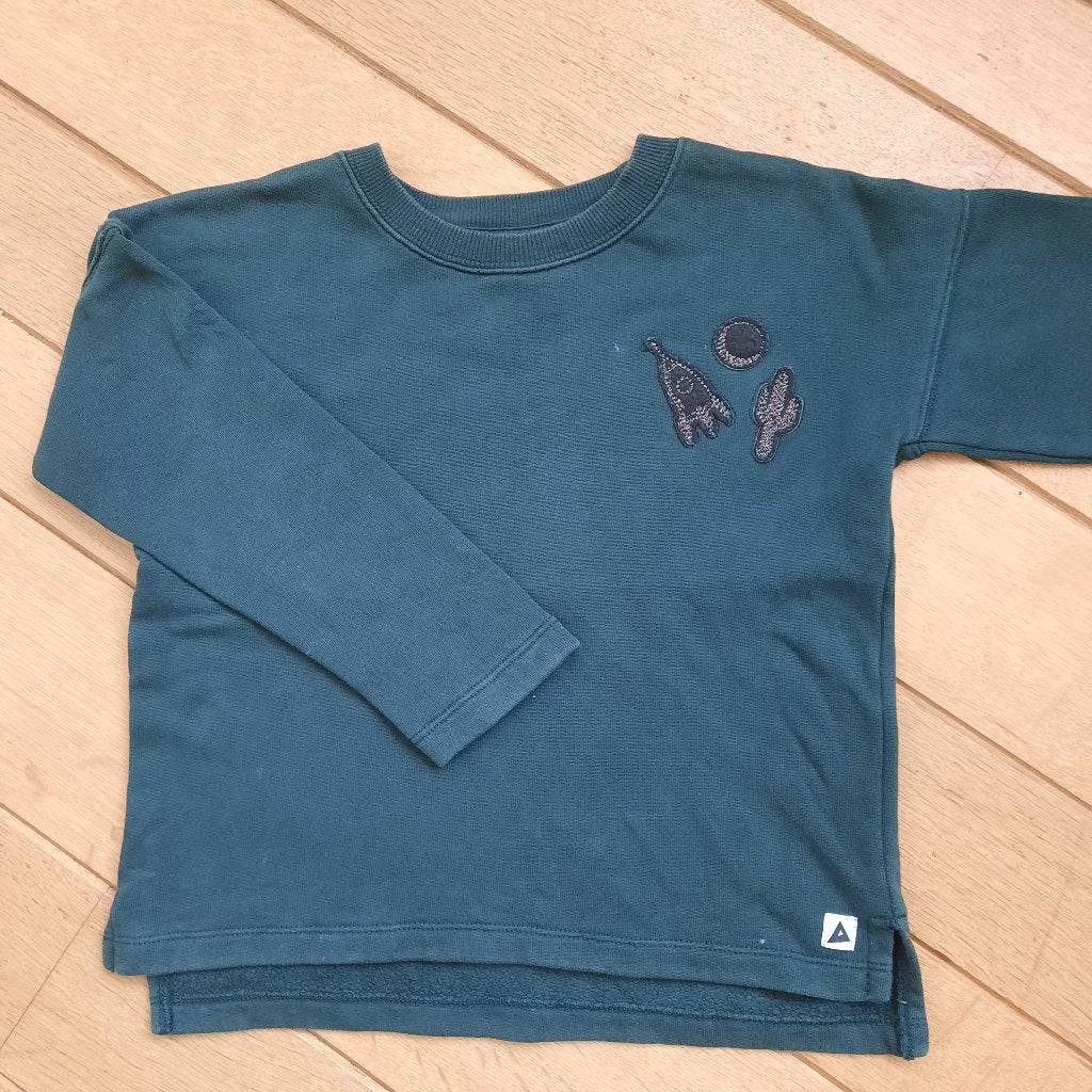 Ammehoela sweater groen maat 110 - 116, Trui of Vest, Ophalen of Verzenden, Zo goed als nieuw, Ammehoela