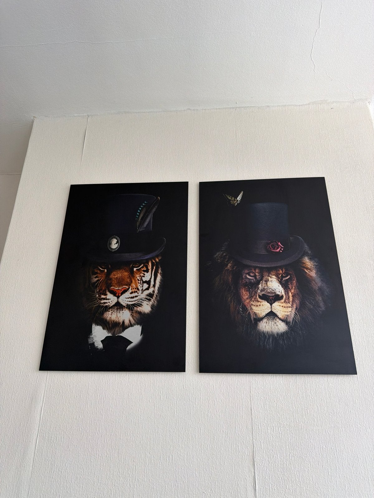 Plexiglas posters Tijger en Leeuw 40x60 cm, Ophalen, 50 – 75, Minder dan 50 cm, Zo goed als nieuw