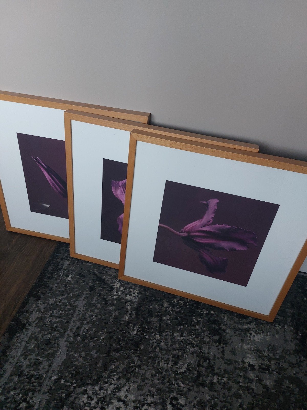 3 fotolijsten 60x60 cm met glas en passe-partouts, Ophalen, Hout, Standaard fotolijst, Zo goed als nieuw