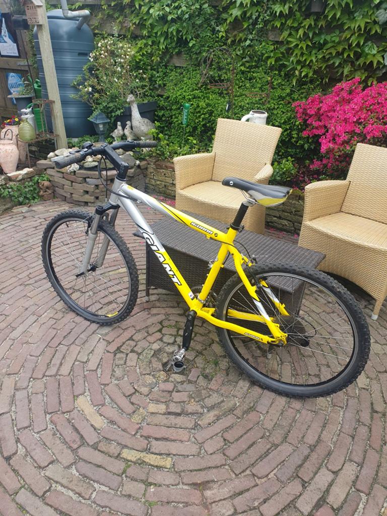 Giant Iguana Mountainbike - Geel/Zilver, Fietsen en Brommers, Fietsen | Mountainbikes en ATB, Ophalen, Gebruikt, Giant