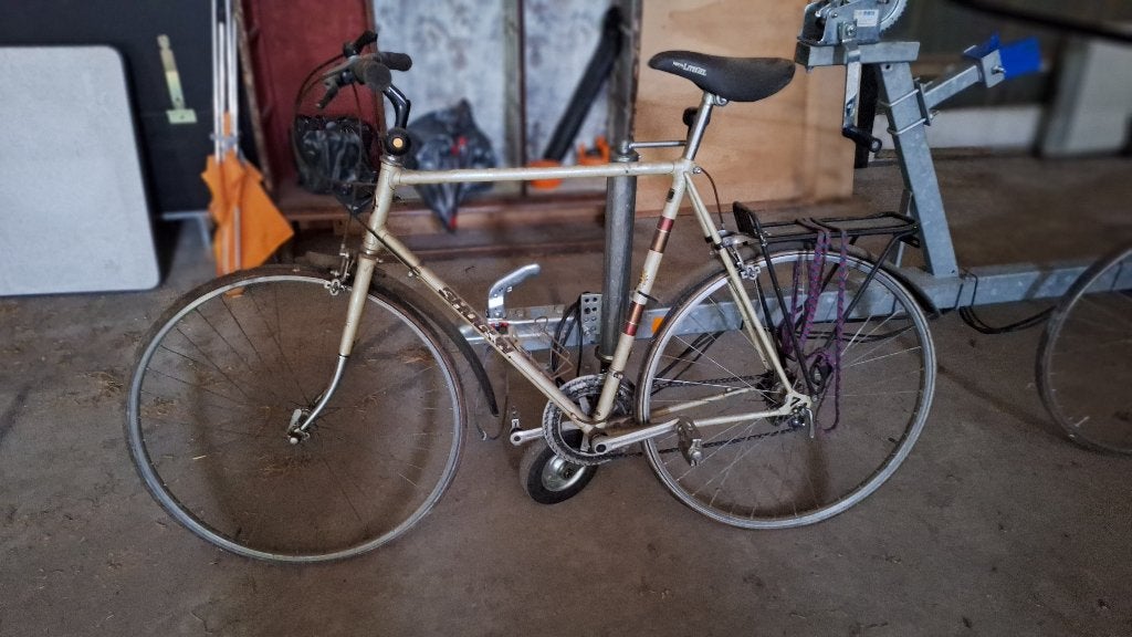 Fiets voor de liefhebber, Gebruikt, Velgrem, Versnellingen, 53 tot 57 cm