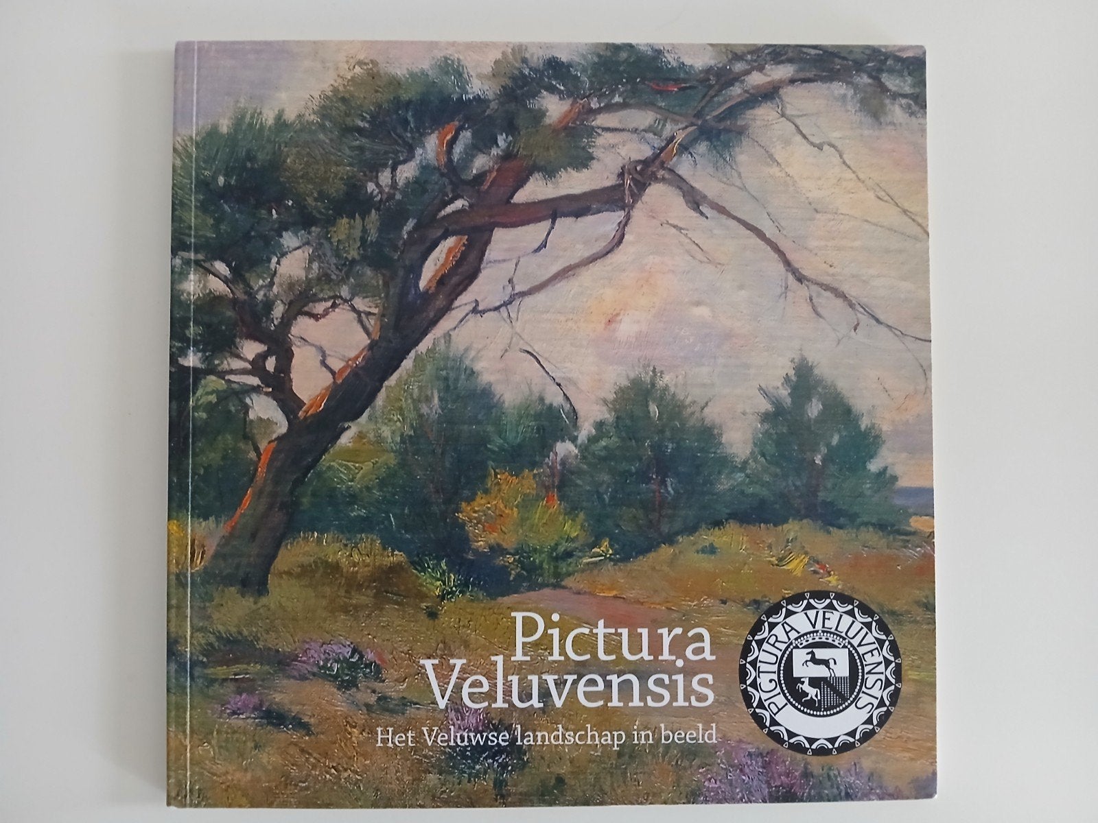 Pictura Veluvensis Oosterbeekse school, Boeken, Ophalen of Verzenden, Zo goed als nieuw, Schilder- en Tekenkunst
