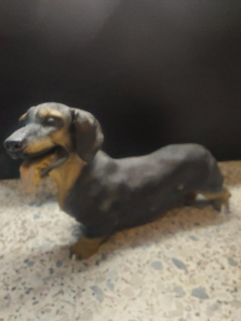 Teckel te koop € 12,50, Ophalen of Verzenden, Zo goed als nieuw, Dier