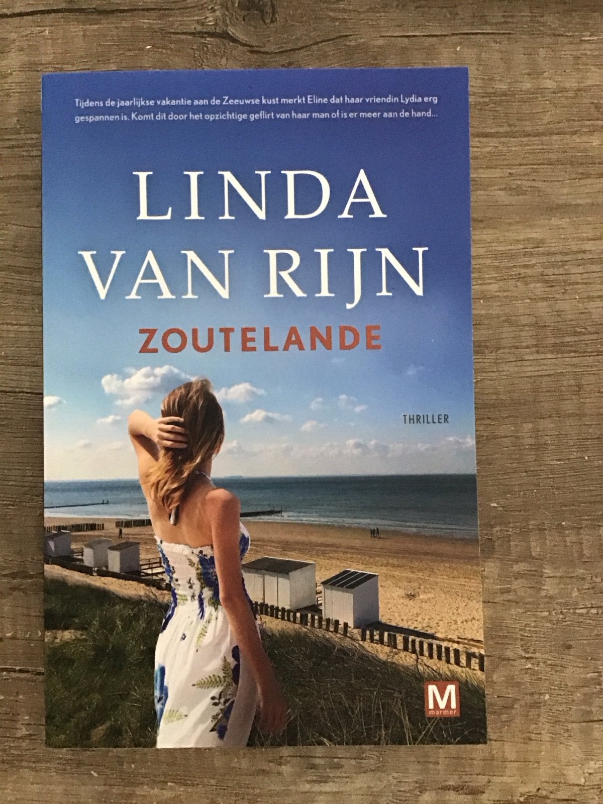 Linda van Rijn - Zoutelande (Thriller), Boeken, Ophalen, Zo goed als nieuw, Nederland