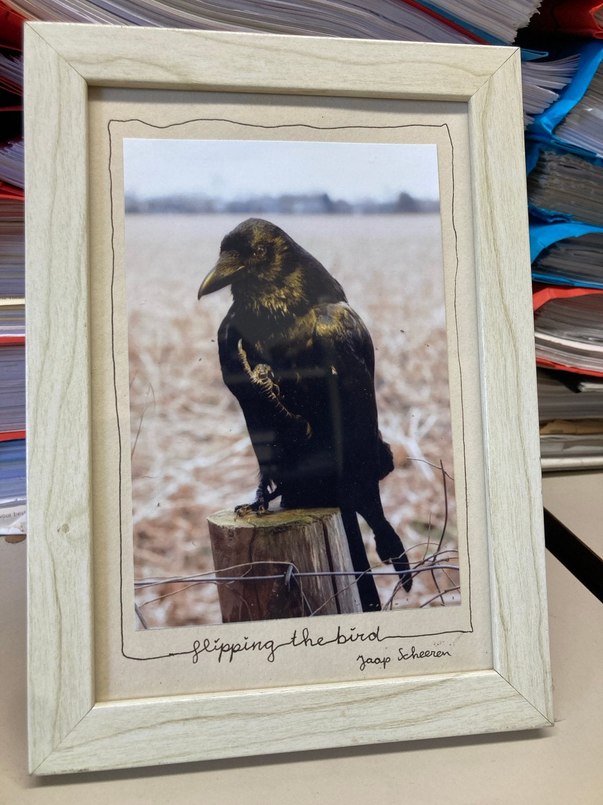 Ingelijste foto 'Flipping the Bird' van Jaap Scheeren, Minder dan 50 cm, Oorspronkelijke maker, Ophalen of Verzenden, Zo goed als nieuw