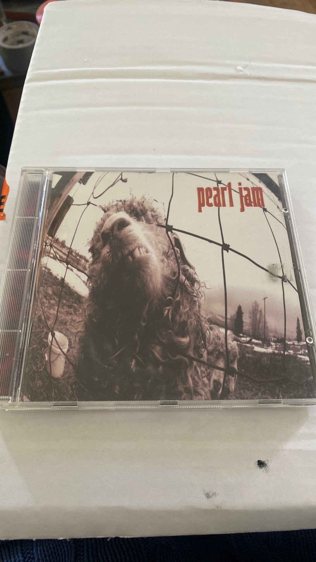 Cd pearl jam, Ophalen of Verzenden, Zo goed als nieuw