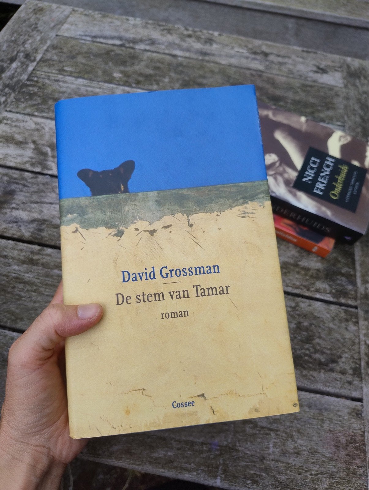 De stem van Tamar - David Grossman (Roman), Boeken, Ophalen of Verzenden