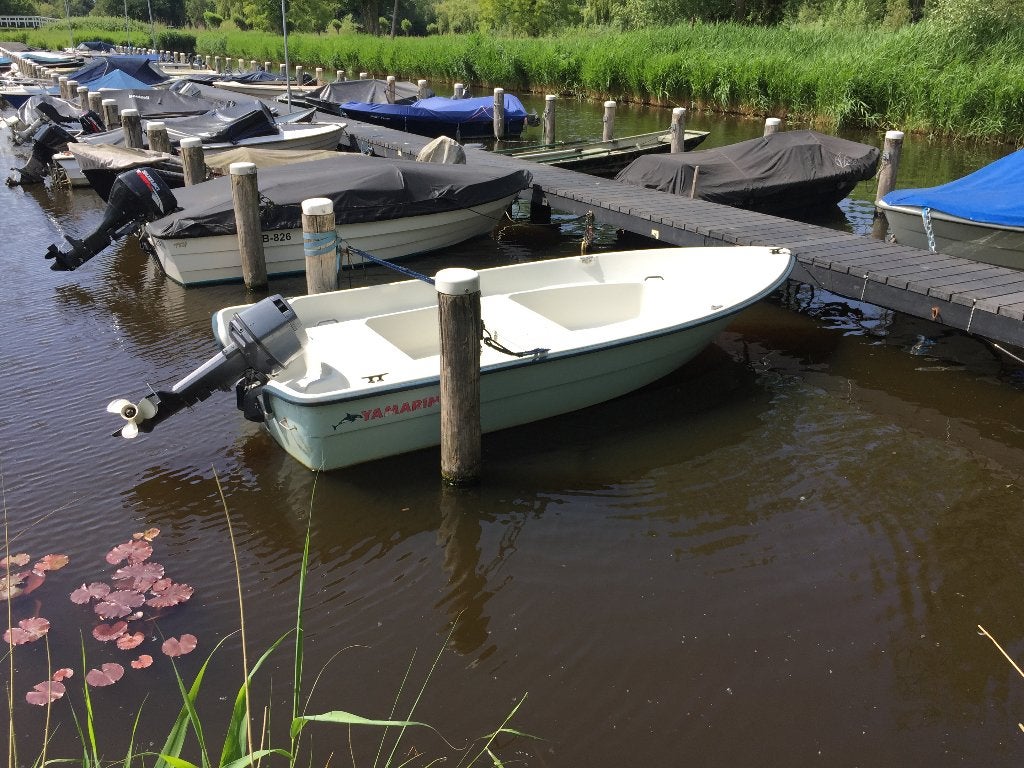 Yamarin 4220, Watersport en Boten, Vis- en Consoleboten, Gebruikt, Overige merken, Benzine, 10 tot 30 pk, Buitenboordmotor, Polyester