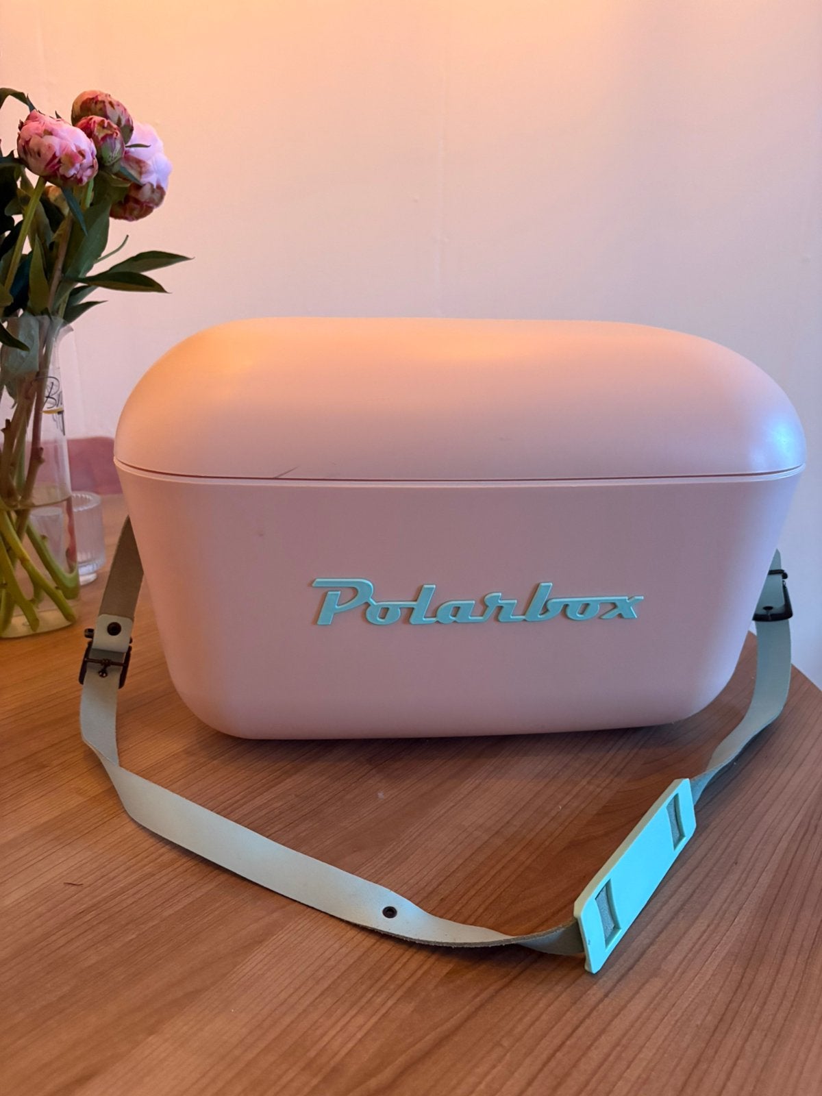 Polarbox, Caravans en Kamperen, Koelboxen, Ophalen, Zo goed als nieuw, Koeltas, Koelelement