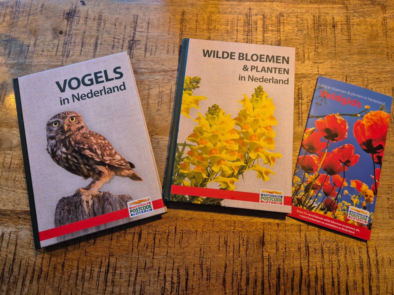 Wilde bloemen & planten en Vogels in Nederland., Boeken, Ophalen of Verzenden, Nieuw, Bloemen, Planten en Bomen