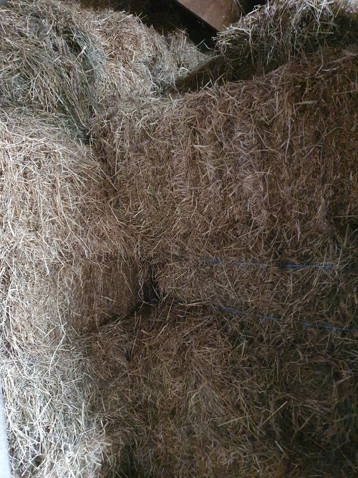 baaltjes hooi., Ophalen, Vee