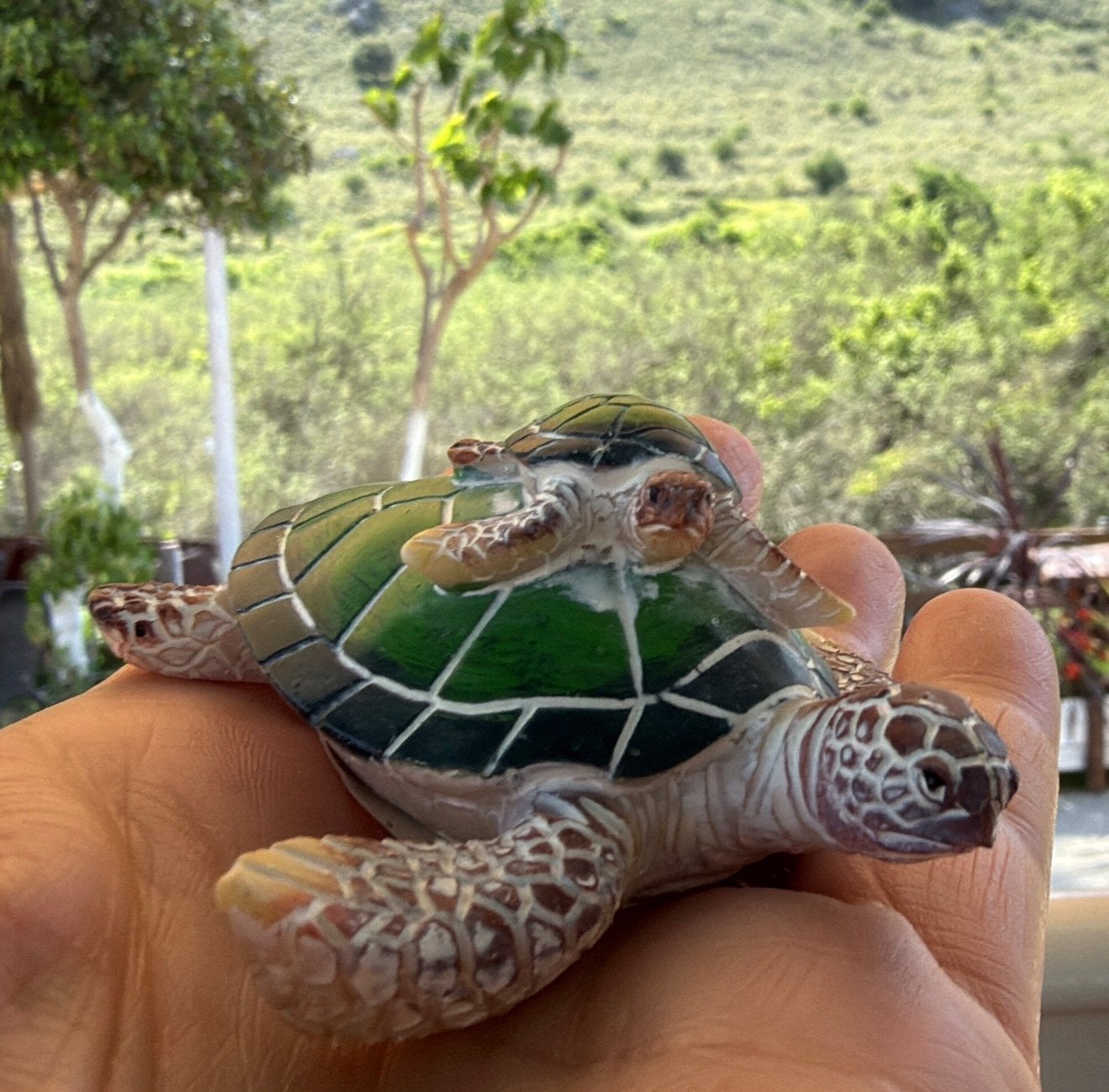 Schildpad met baby van steen 7.50 verzameling, Schildpad
