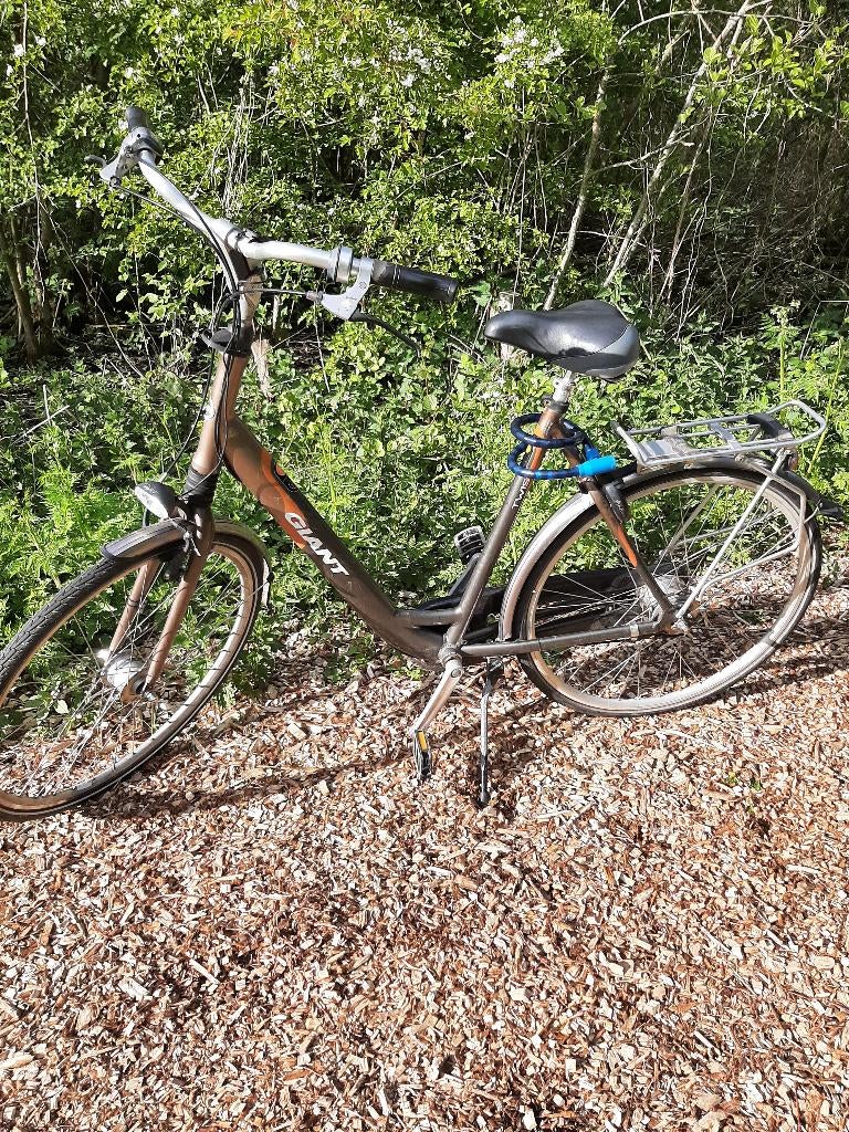 Giant fiets, Ophalen of Verzenden, Gebruikt, Giant, Versnellingen