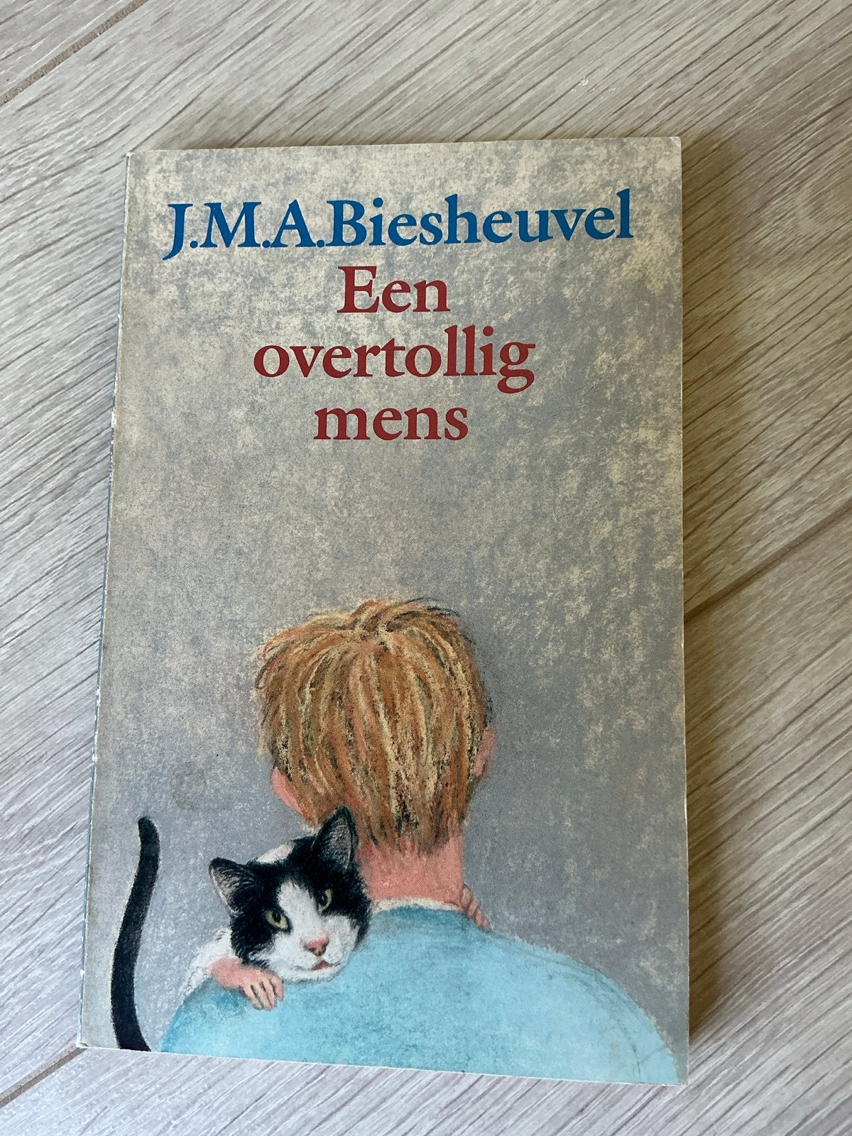 J.M.A. Biesheuvel - Een overtollig mens, Boeken, Ophalen of Verzenden, Gelezen, Nederland