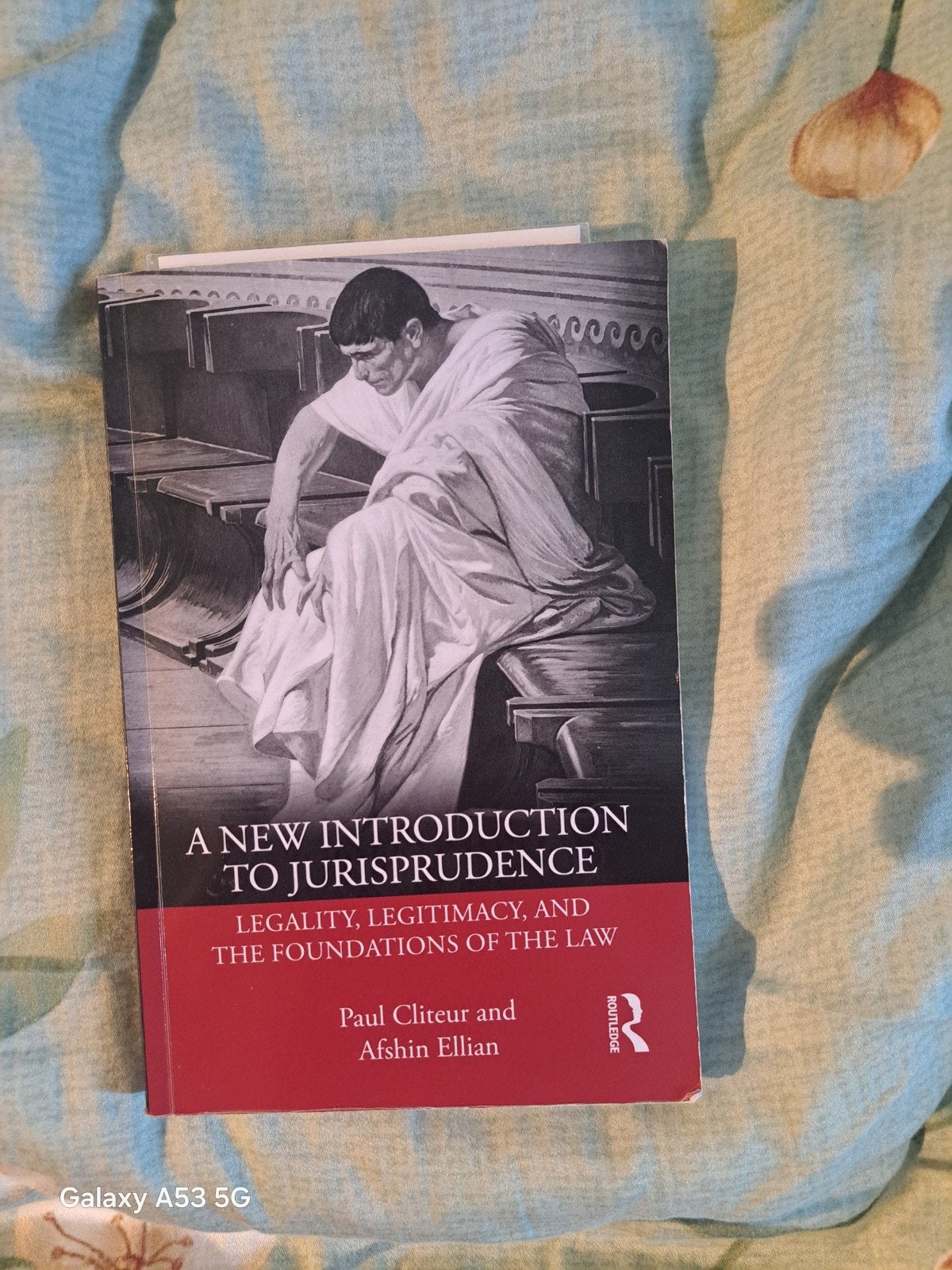 A New Introduction to Jurisprudence - Paul Cliteur, Boeken, Paul Cliteur en Afshin Ellian, Ophalen of Verzenden, Gamma, WO