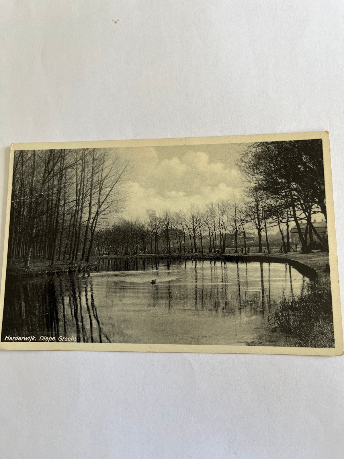 Oude Ansichtkaart Harderwijk, Diepe Gracht (Gelopen), Verzenden, Voor 1920, Gelopen, Gelderland