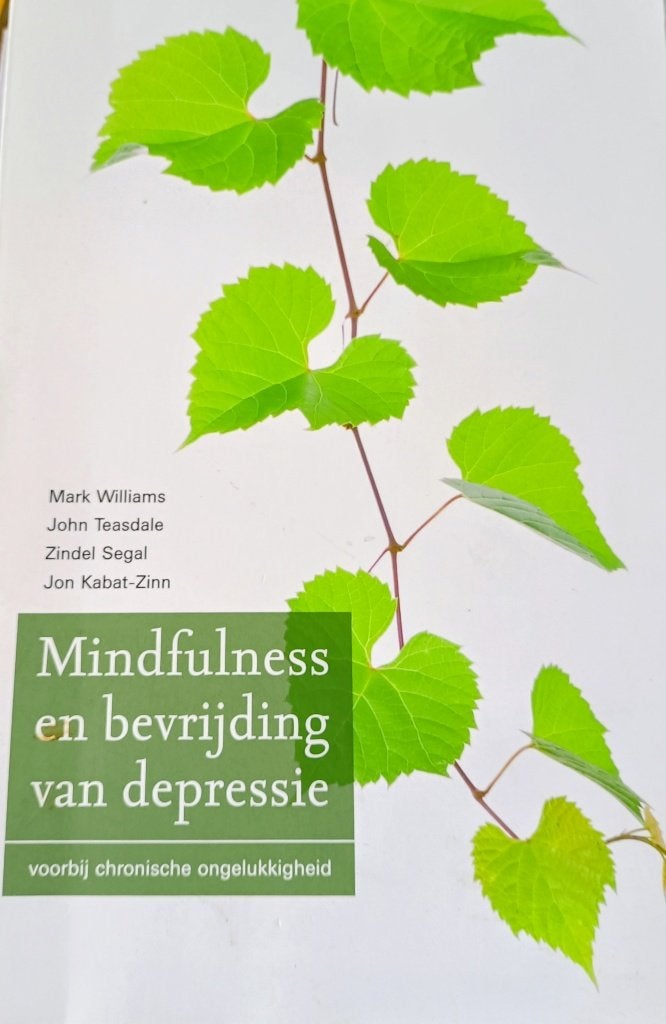Mindfulness en bevrijding van depressie, Boeken, Gelezen, Klinische psychologie, Ophalen of Verzenden, Mark Williams e.a.