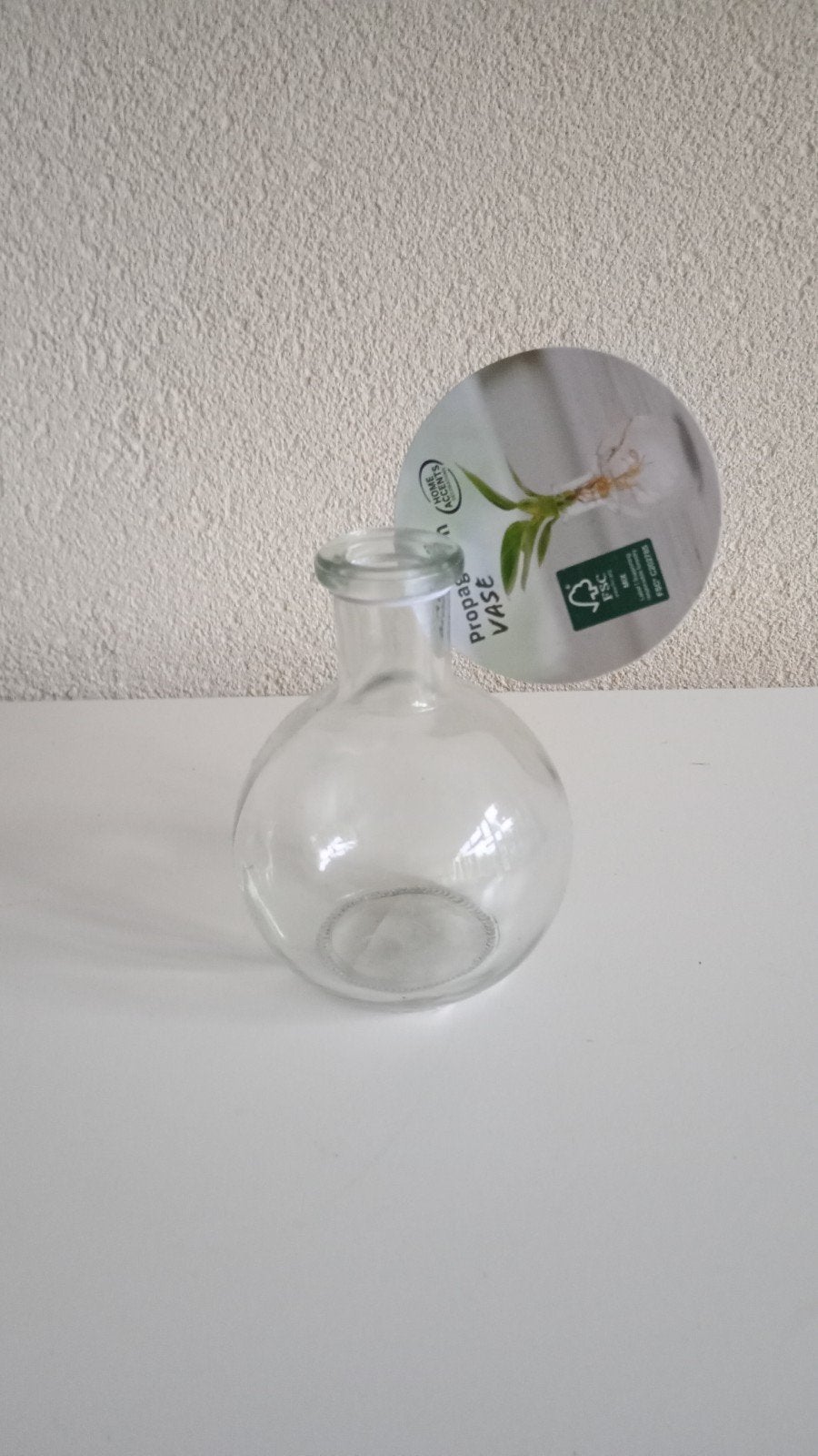 Glazen Propagatie Vaasje - Nieuw, Overige kleuren, Nieuw, Ophalen of Verzenden, Glas