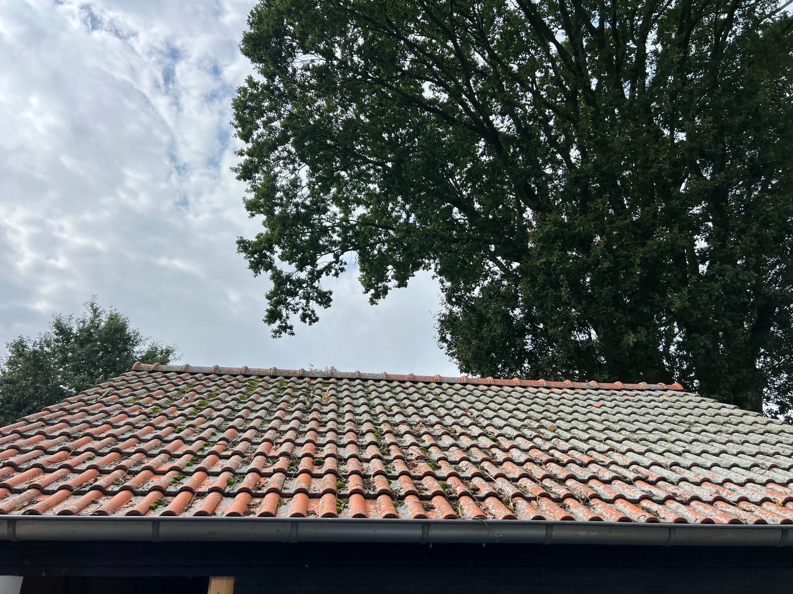 Dakpannen, Doe-het-zelf en Verbouw, Steen of Klei, Ophalen of Verzenden, 15 m² of meer, Dakpannen