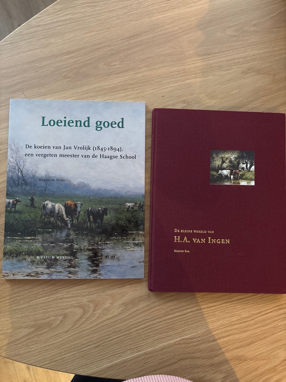 Kunstboeken: Loeiend goed & De kleine wereld van H.A. van In, Ophalen of Verzenden, Zo goed als nieuw, Schilder- en Tekenkunst