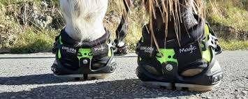 GEZOCHT Scoot boot maat 3  of  explora magic maat 3, Dieren en Toebehoren, Ophalen of Verzenden, Gebruikt