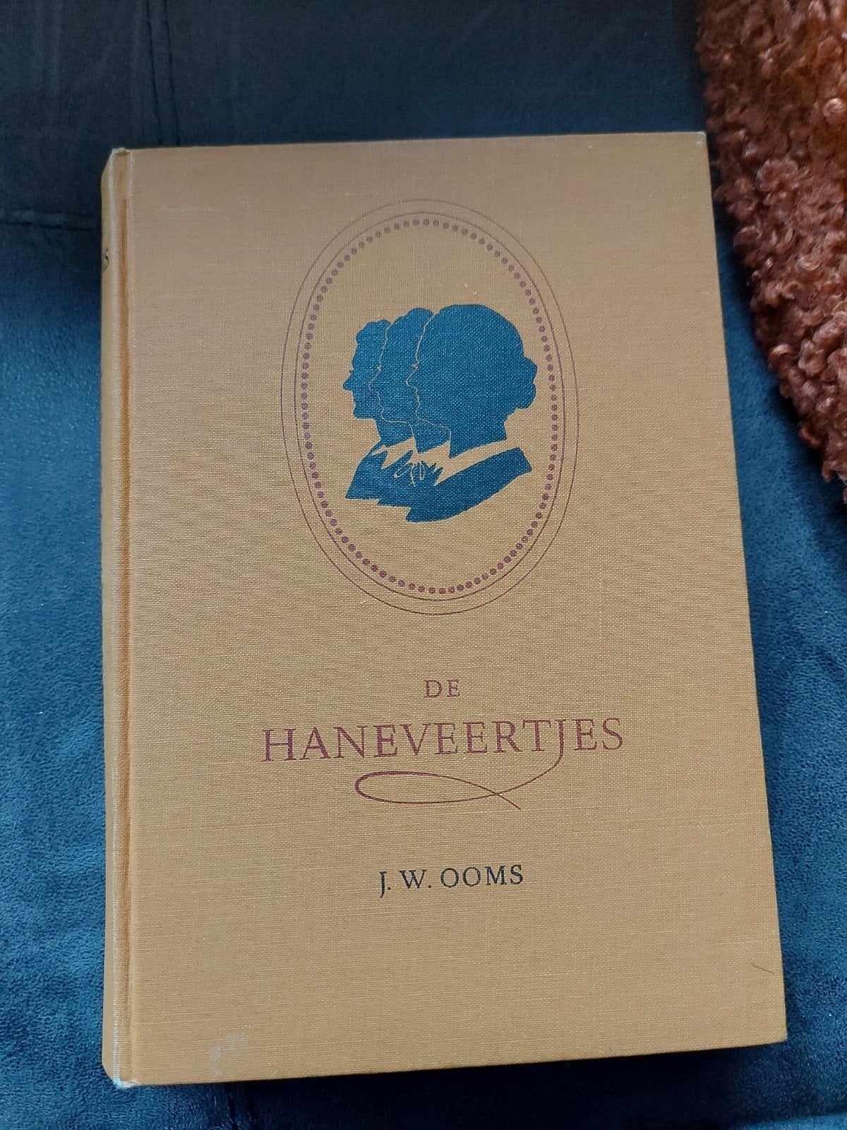 J.W.Ooms - Haneveertjes, Boeken, Ophalen of Verzenden, Gelezen, J.W.Ooms