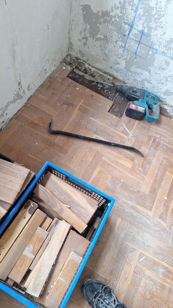 Veel kleine houtjes! Voor stoken ed., Doe-het-zelf en Verbouw, Hout en Planken, Minder dan 25 mm, Ophalen of Verzenden, Plank