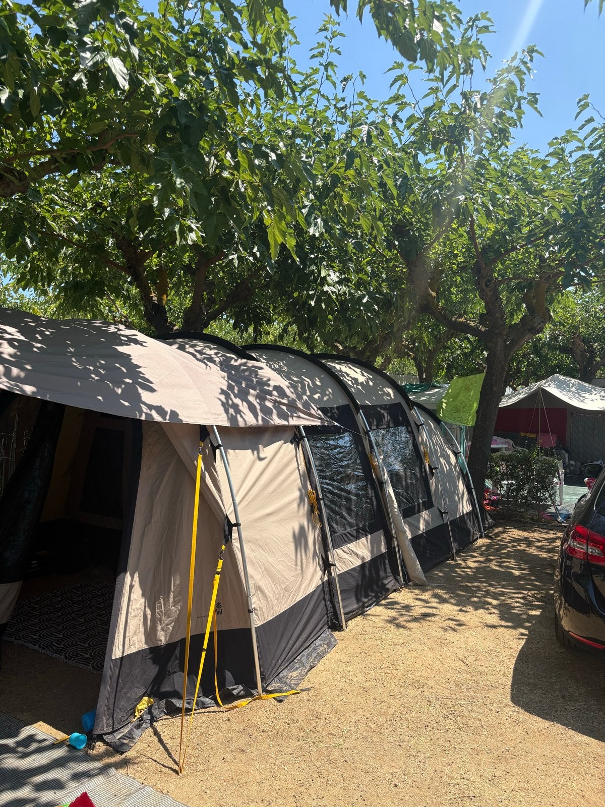 Redwood Birch 310 TC CFT tent - Ideaal voor gezin, Caravans en Kamperen, Tenten, Ophalen, Gebruikt, Tot en met 4